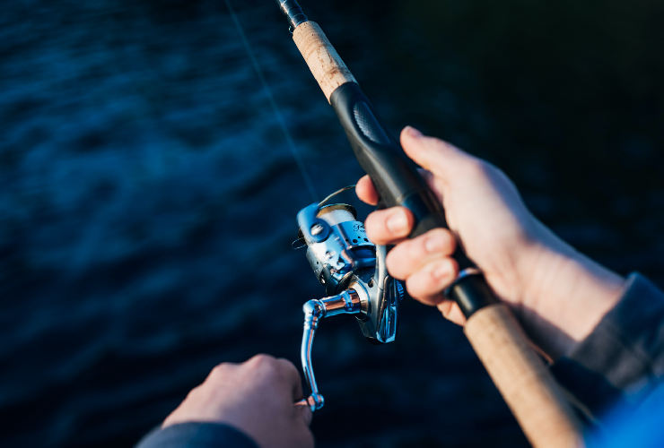Imagen-Pesca