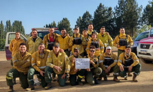 todos-1-2