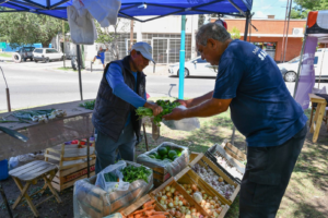 image-44