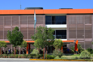 image-7