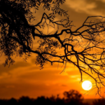 Será un jueves ventoso, pero con sol y temperatura primaveral