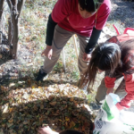Estudiantes desarrollan un bosque sintrópico para recuperar el suelo y producir alimentos