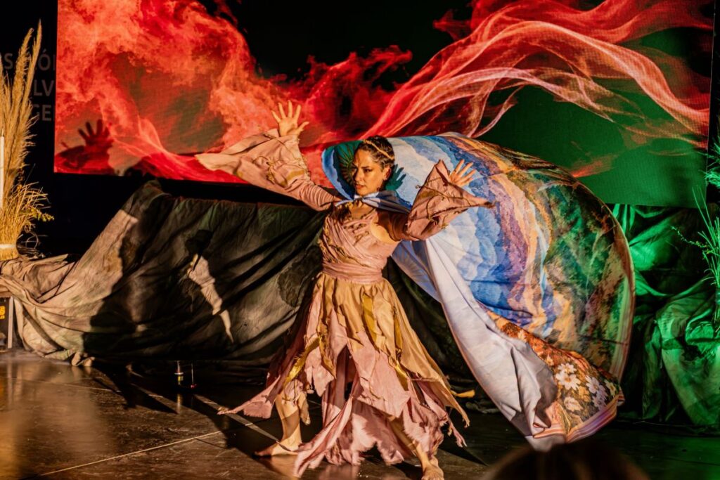 Más de 30 artistas encendieron el escenario de los 50 Festivales