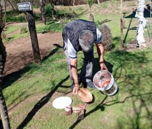 Mosca de los Frutos: liberaron machos estériles en cuatro localidades