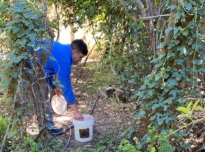 El Plan de Erradicación de la Mosca de los Frutos avanza con intervenciones en seis localidades