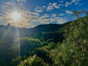 A pesar de que algunas nubes taparán el sol, la temperatura este jueves llegaría a 28º